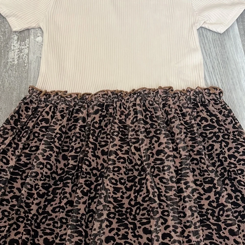 Zara Combination Tulle Dress